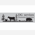 DG services