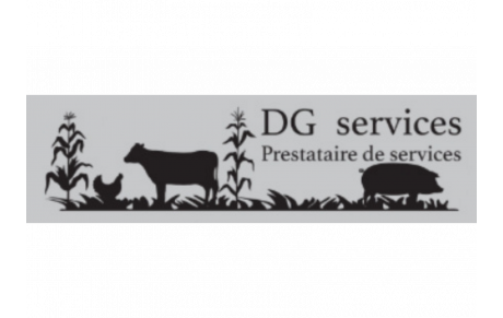 DG services